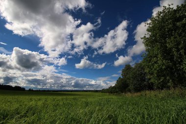 Peyzaj çayır gökyüzü bulut