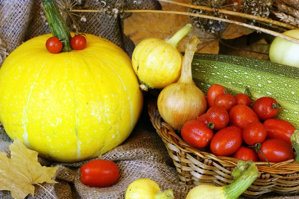 Tomatenernte von Kürbissen und Herbstgemüse — Stockfoto