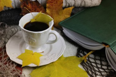 Sonbahar konsepti yığın kazak örme