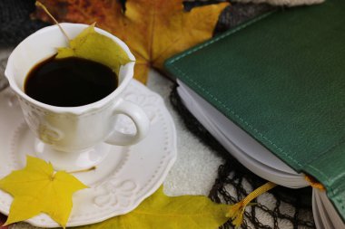 Sonbahar konsepti yığın kazak örme