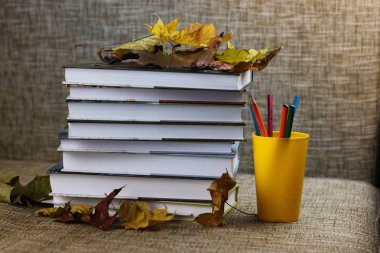 ders kitapları yaprakları öğretim yılı