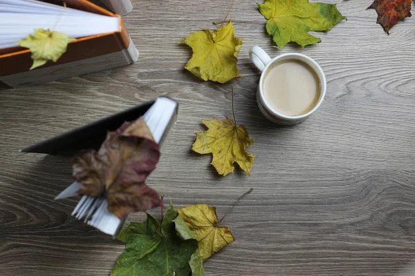 Autumn leaves on top of the book — Stock Photo, Image