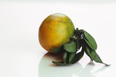 mandalina meyve beyaz izole