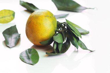 mandalina meyve beyaz izole