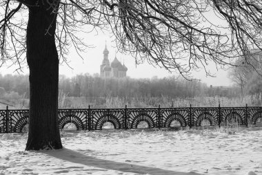 Park kış siyah ve beyaz