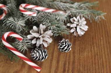 bir çam kozalağı Christmas dalları