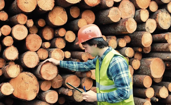 Працівник в шоломі рахує дерев'яний пиломатеріал — стокове фото