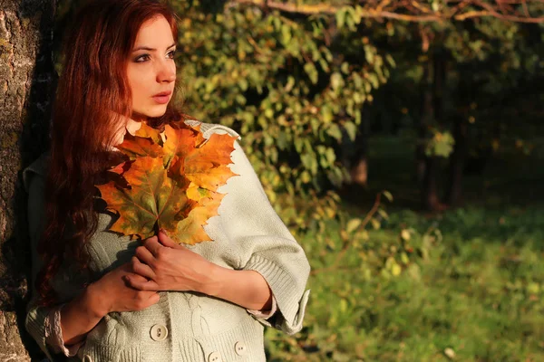 Руда дівчина Осіннє листя — стокове фото