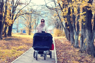 Anne bir park bebek arabası Güz