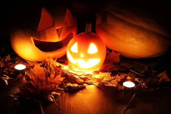 Halloween pumpa blad faller — Stockfoto