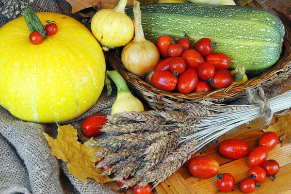 Zbiory pomidorów dynie i jesiennych warzyw — Zdjęcie stockowe
