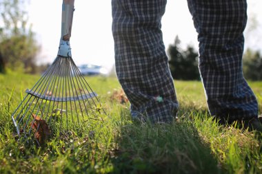 eski ot toplamak için Tırmıklar