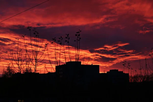 Gün batımı anahat ev — Stok fotoğraf