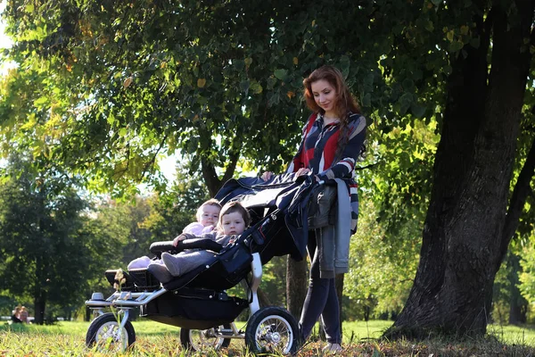 Women walk stroller summer — Stock Photo, Image