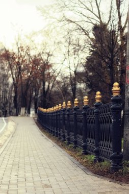Köprü korkuluk bahar