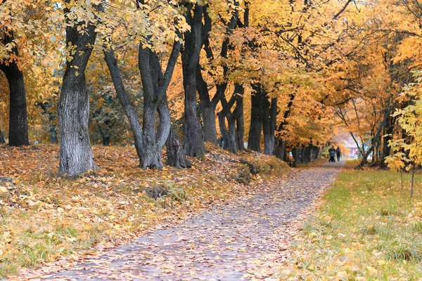 Park walkway in autumn — Stock Photo, Image
