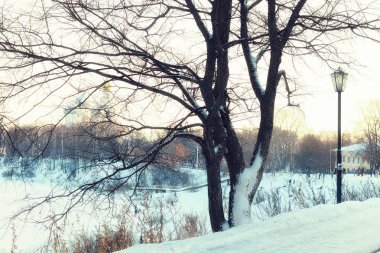Kış sokak ışık ağacı
