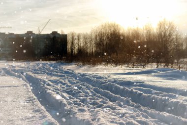 Peyzaj sokak ağaç kış