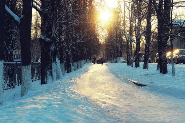 Alley trees walkway winter — Stock Photo, Image