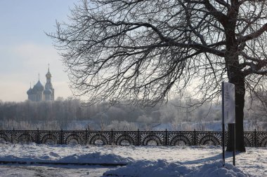 Kış ağaç çit kubbe