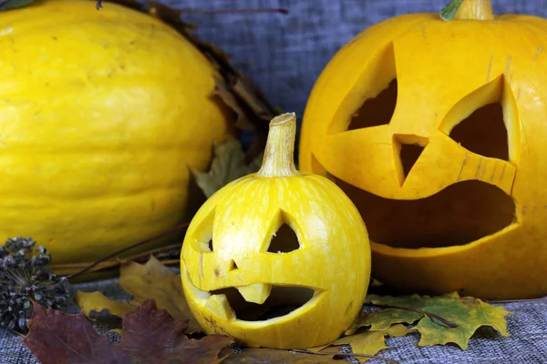 Caída de hojas de calabaza Halloween — Foto de Stock