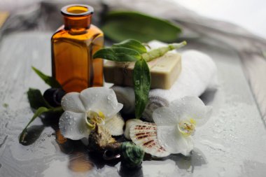 Spa orkidesi yeşil havlusu