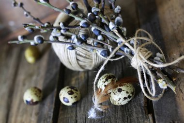 Bahar yumurta dal willow ahşap arka plan