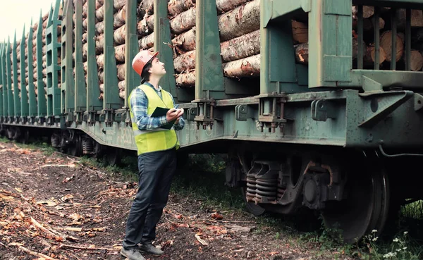 Trabajador en casco cuenta madera aserrada —  Fotos de Stock
