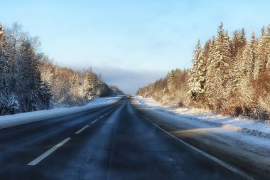 kış orman manzara güneş ışığı kar
