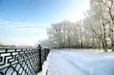 çit kapalı kar kış parkı
