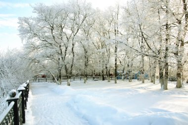 çit kapalı kar kış parkı