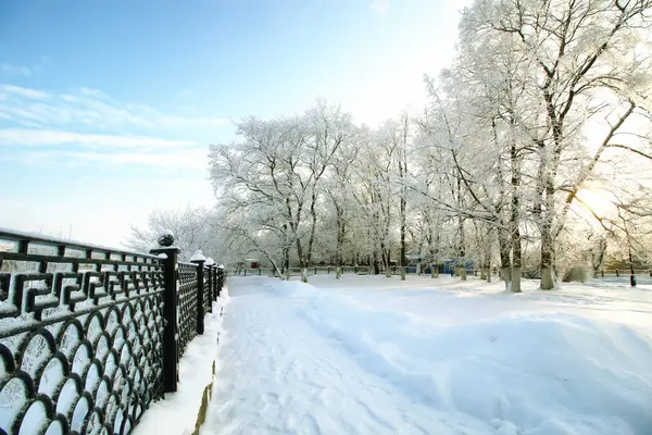 Recinzione coperta neve inverno parco — Foto Stock