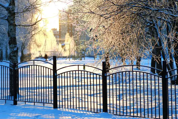 Fence covered snow winter park — Stock Photo, Image