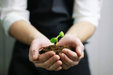 Avuçlarda filizlenen bahçıvan eli.