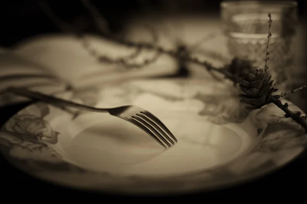 Toned fork in plate monochrome — Stock Photo, Image
