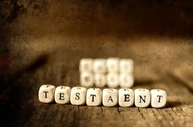 Fotoğraf kavramı son arzum ve vasiyetim yaradan retro etkisi