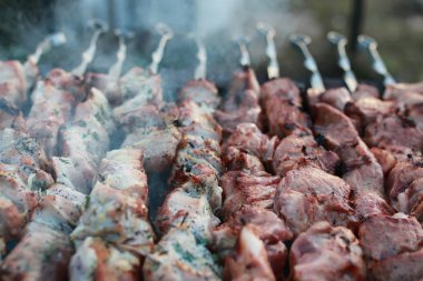 Doğada barbekü yapmak.