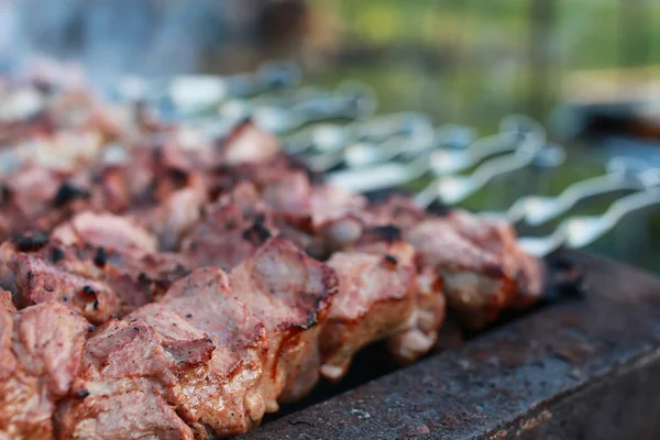 Kookbarbecue op de natuur — Stockfoto