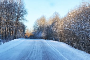 Karlı tarlalar ve ormanlar arasında kış yolu