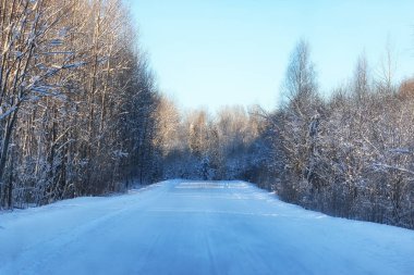 Karlı tarlalar ve ormanlar arasında kış yolu
