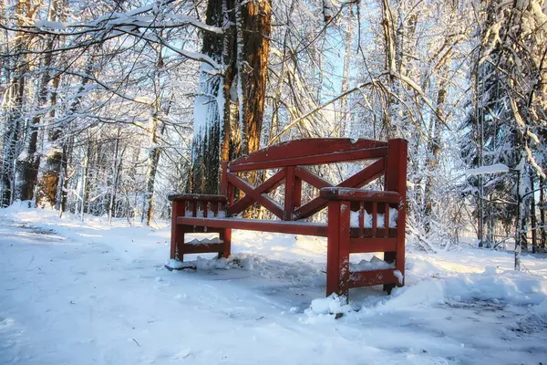 Wood bench in winter — Stock Photo, Image