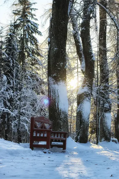 Деревянная скамейка зимой — стоковое фото