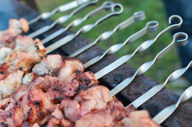 Doğada barbekü yapmak.