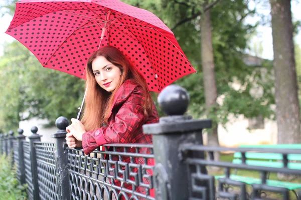 kadın sokak ağaç üzerinde kırmızı şemsiye ile