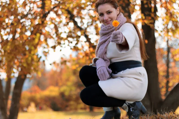 Ragazza in un parco indossare una sciarpa autunno — Foto Stock