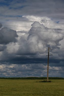 Peyzaj çayır gökyüzü bulut