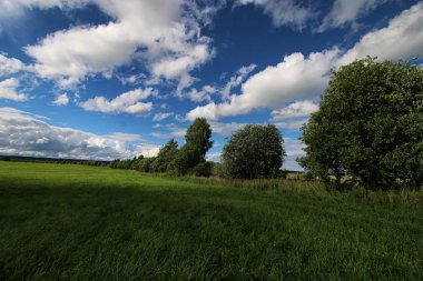 Peyzaj çayır gökyüzü bulut