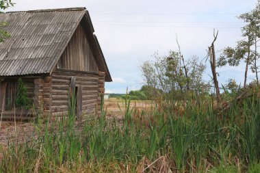 Sazlık olan bir alana evde