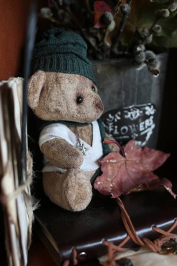 Retro oyuncak ayı ve eski kitap