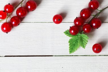 Frenk üzümü berry arka plan